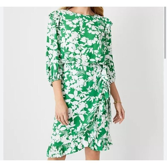 ANN TAYLOR WOMENS DRESS FLORAL GREEN & WHITE TIE SHEATH MIDI LONG SLEEVE SIZE 4 - Picture 1 of 10